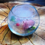 店主の細部まで拘った料理は見た目、香り、味と五感で愉しめます。季節を感じる料理をご堪能下さい☆