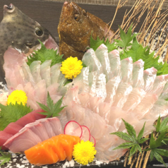 完全個室居酒屋 だるまさんの特集写真