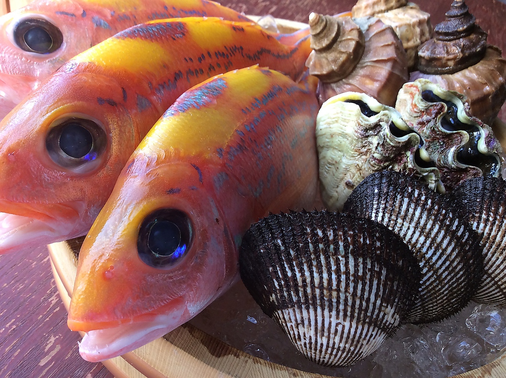 届いたばかりの新鮮な食材！