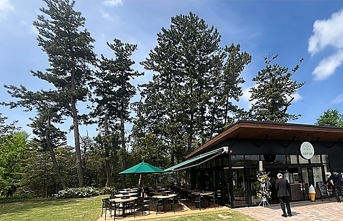 Outdoor Terrace LOTUS