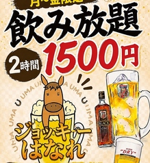 大衆馬肉酒場 ジョッキー 柏 はなれ店のコース写真