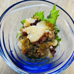 タコのもろみ味噌漬け