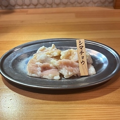 シマチョウ