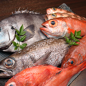 毎日仕入れる鮮魚は旬や鮮度を確認して仕入れるため、海鮮メニューは「本日のおすすめ」にて店内でご案内しております。