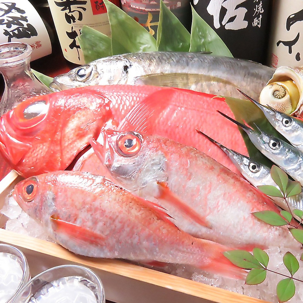 瀬戸内海を中心に、鮮度の高い鮮魚をご提供！旬をいつでも味わえるよう店主が厳選しております◎