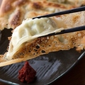 料理メニュー写真 手包みジャンボ餃子