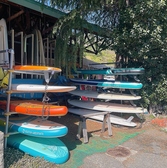 SUPレンタルやってます!徒歩1分の桂浜の海でサップを楽しみませんか♪パドル、ライフジャケット付