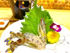 活き車海老のしゃぶしゃぶ！