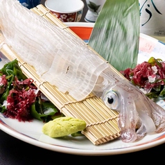 産直天然 活きイカの造りの写真