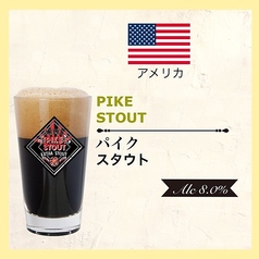 パイク スタウト USA/アメリカ＜スタウト＞Alc.6.5% Ｓサイズ