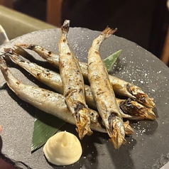 カラフトシシャモ5尾