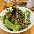 料理メニュー写真&nbsp;グリーンサラダ　～自家製イタリアンドレッシング～