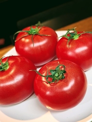 無農薬野菜