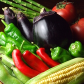 こだわりの京都野菜:京都の契約農家から仕入れる地野菜!旬の一番を仕入れております。素材の味を最大限に発揮出来るように調理された料理を是非ご賞味くださいませ!!