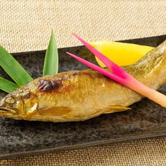 『笹川流』鮎の天然海水塩焼き《1尾》