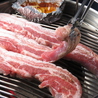ルート2食堂 肉時々なんかのおすすめポイント3