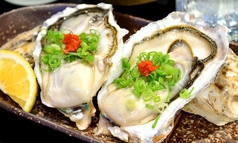 兵庫県産　生牡蠣