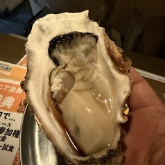 岡フォルニアBBQガーデンのコース写真