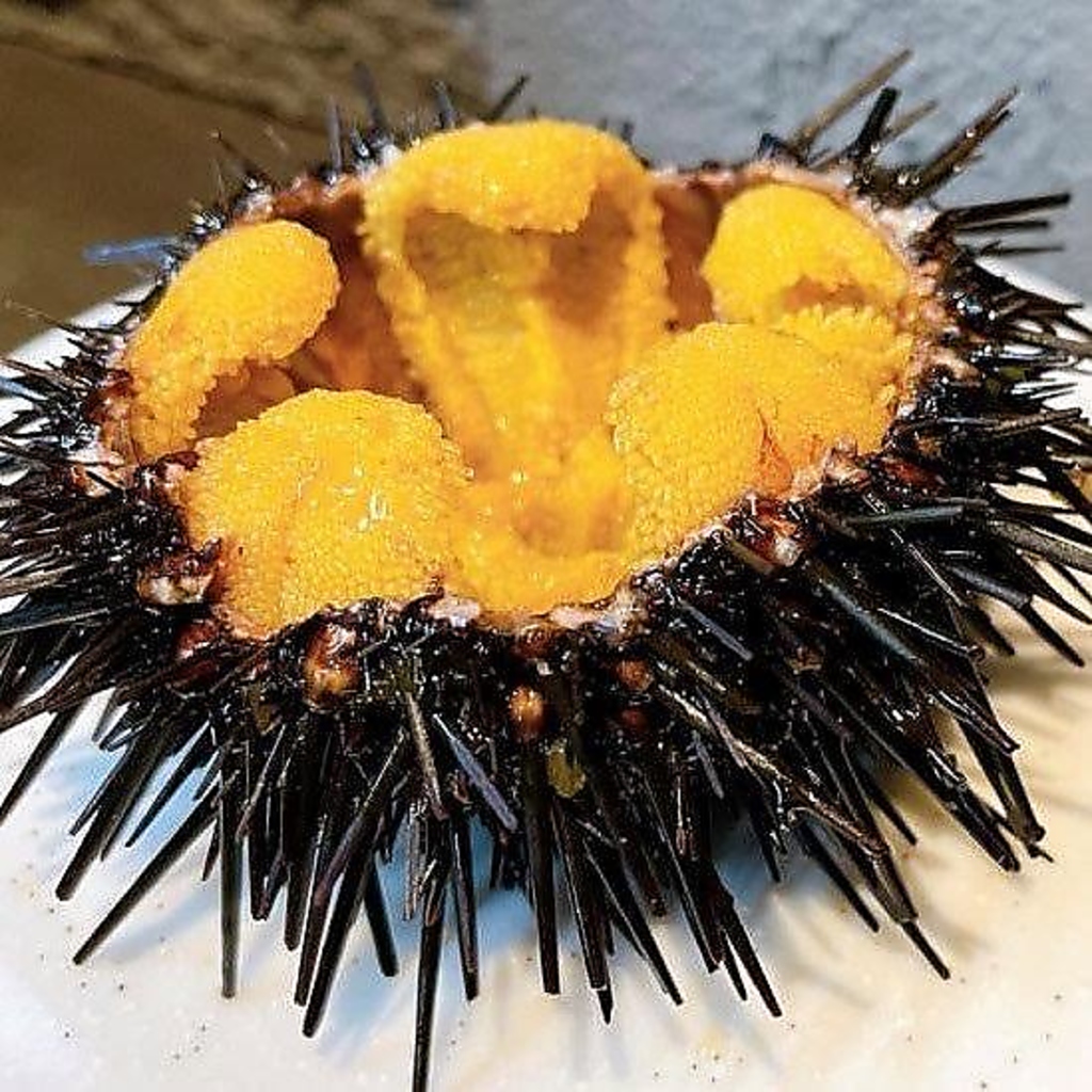 旬に合わせたお料理を多数ご用意しております♪ドリンクと合わせてお楽しみくださいませ。