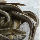 ニホンウナギ 大門 山梨小江戸甲府花小路のおすすめ料理3