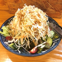 普通の野菜サラダ