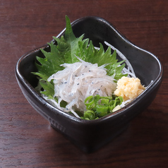 駿河湾 生しらす