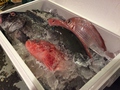 料理メニュー写真 長崎県直送の新鮮な魚