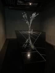 そば さやかの写真3