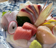 本日の刺盛　5種