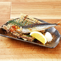 鹿児島県産 うるめ鰯の丸干し
