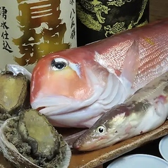 袋町 でんすけのおすすめ料理1