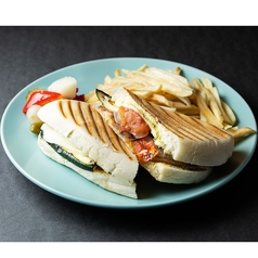 イタリアンパニーニ