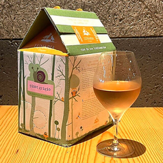 ルナーリア（白、オレンジ、赤）