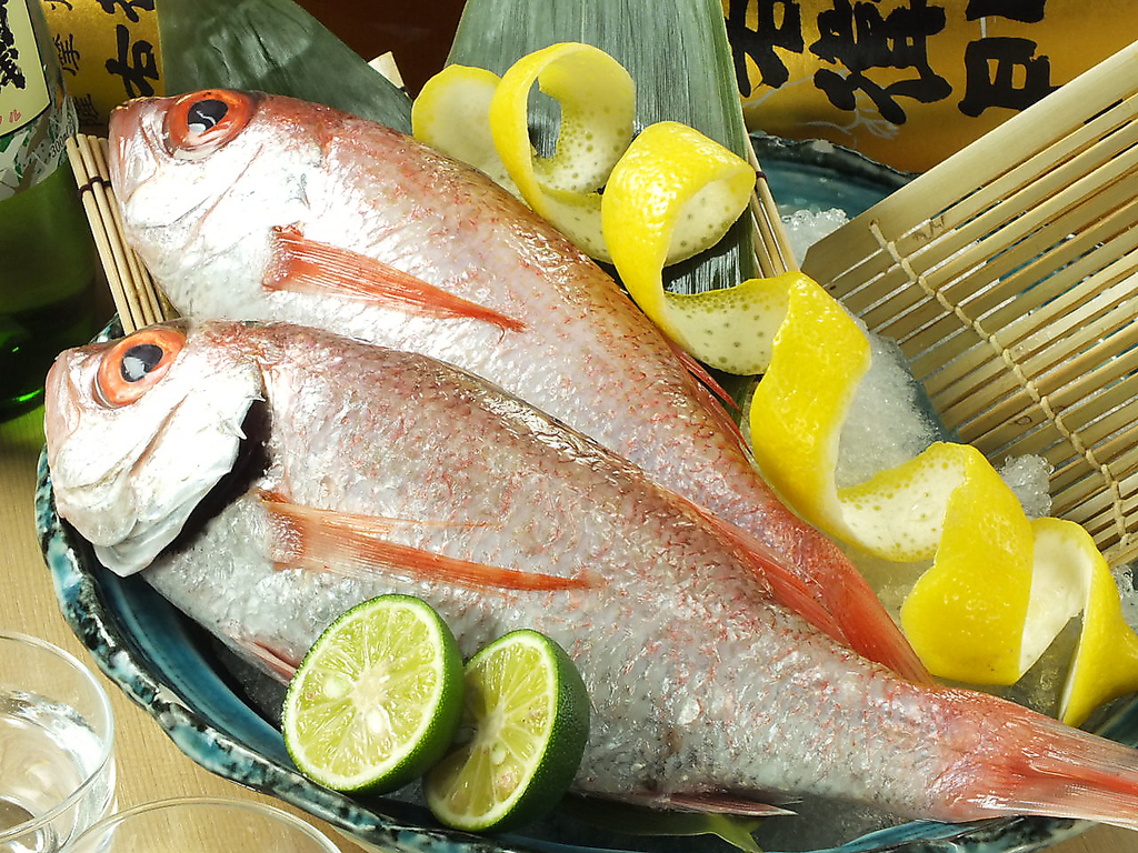 脂ののったのどぐろをぜひ！！