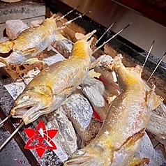 鮎の塩焼き