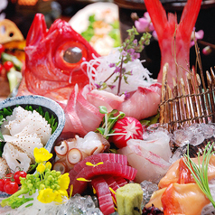 銀しゃりDining 灯戸 あかりどのコース写真