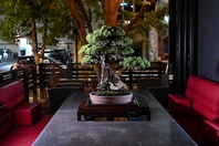 お洒落空間で大人の空間をお楽しみください