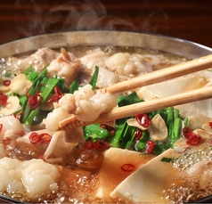 旨いもん酒場 バッチョのコース写真