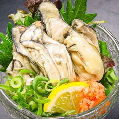 またたびのおすすめポイント1