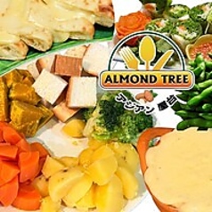 アーモンドツリーの特集写真