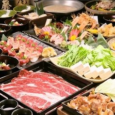 博多もつ鍋 馬肉 九州自慢 川崎東口タワー・リバーク店のコース写真