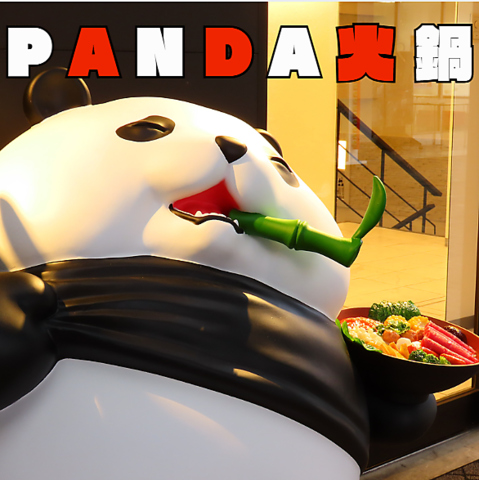 PANDA Γ p_qix