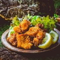 料理メニュー写真 フライドチキンスパイスザンギ