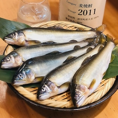 鮎塩焼き 季節限定