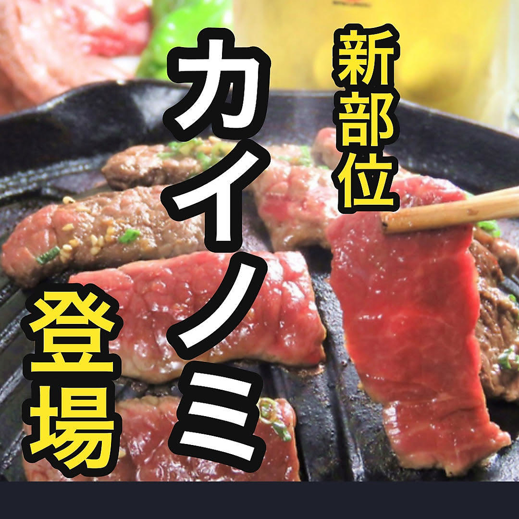 馬肉の焼肉を味わえるのは新潟では当店だけ！！