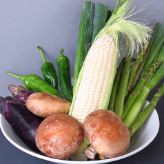 旬の北海道産の野菜たち