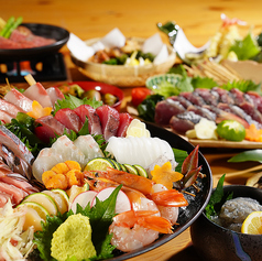 職人が手掛ける料理の数々 種類豊富な日本酒を堪能◎
