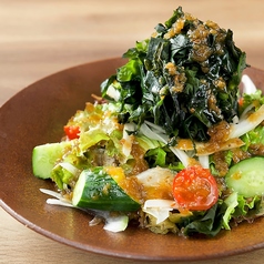 たっぷり若布サラダ