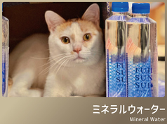 【お水】ミネラルウォーター(ボトル)