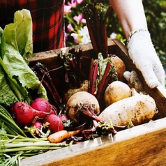 安全・安心の厳選素材